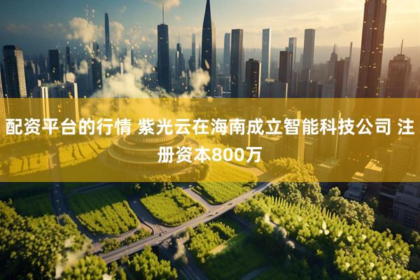 配资平台的行情 紫光云在海南成立智能科技公司 注册资本800万