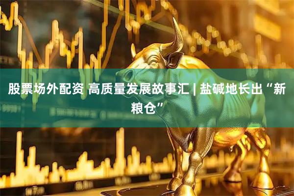 股票场外配资 高质量发展故事汇 | 盐碱地长出“新粮仓”