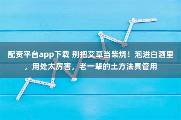 配资平台app下载 别把艾草当柴烧！泡进白酒里，用处太厉害，老一辈的土方法真管用